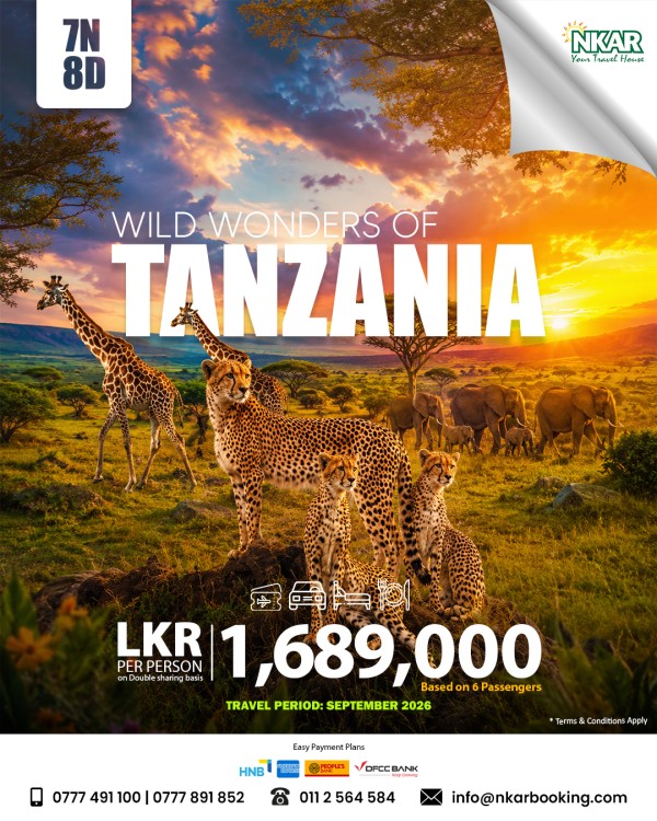 All-Inclusive Serengeti & Tarangire Safari | September 2026 Group Tour
